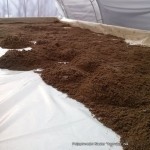 Slika 4. Nanošenje prvog sloja peska